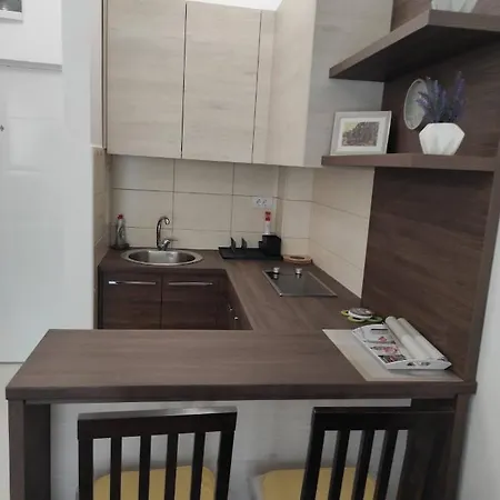 Dani Banja Koviljača