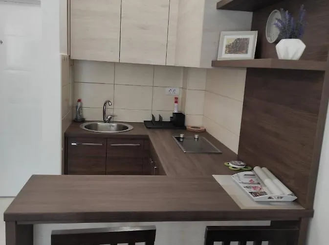 Dani Banja Koviljača